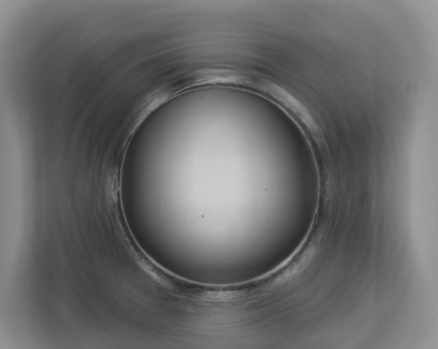 X0000112921377200908241217