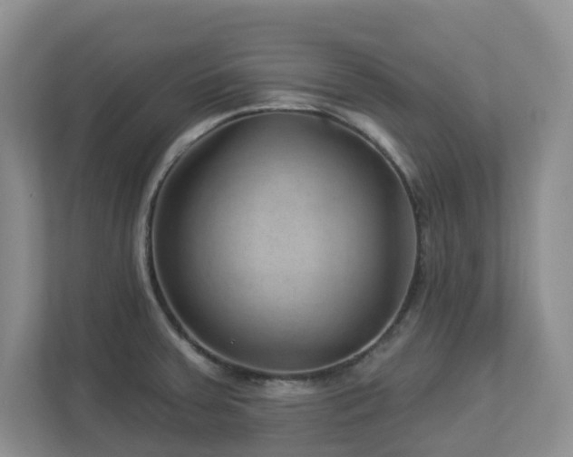 X0000112921379200908241217