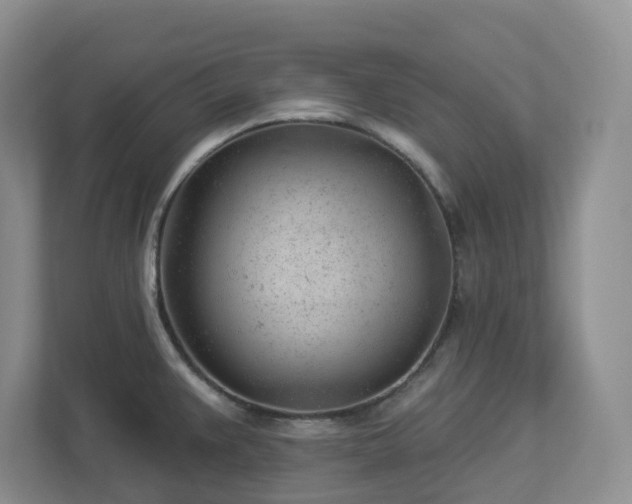 X0000112921383200908241217