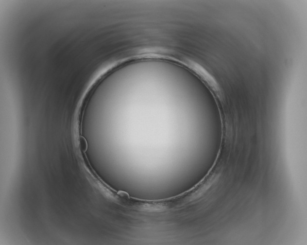 X0000112921384200908241217