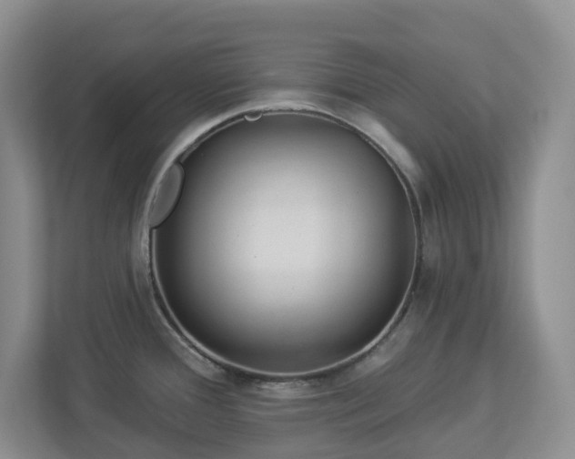 X0000112921388200908241217