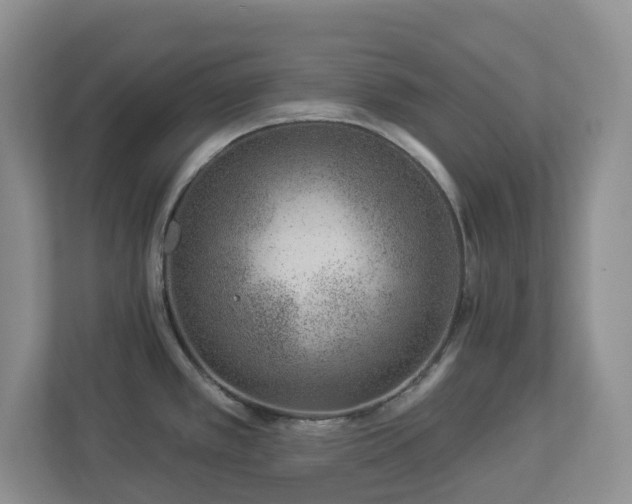 X0000112921389200908241217