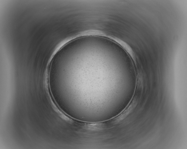 X0000112921390200908241217