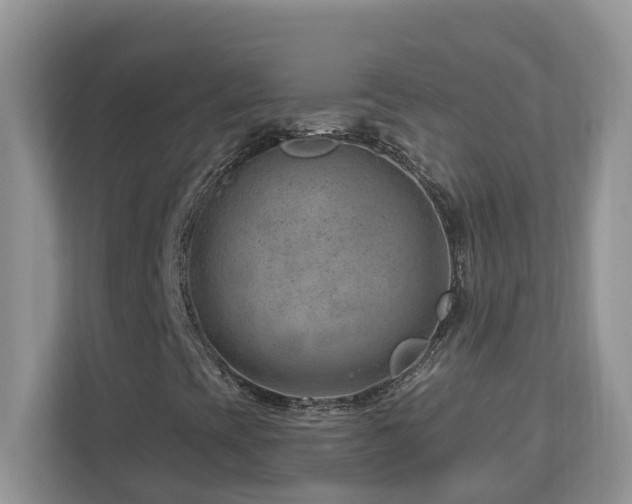 X0000112921393200908241217