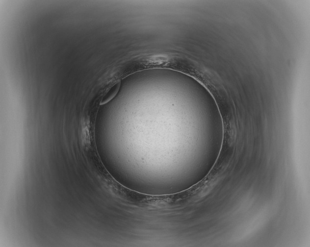 X0000112921394200908241217
