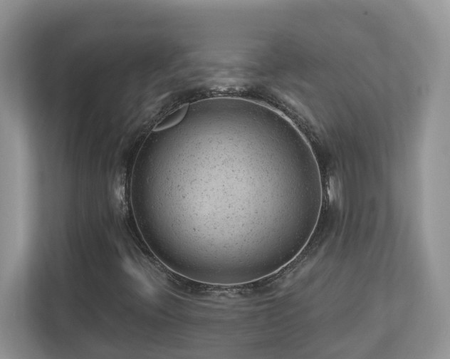 X0000112921396200908241217