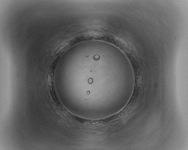 X0000112921397200908241217