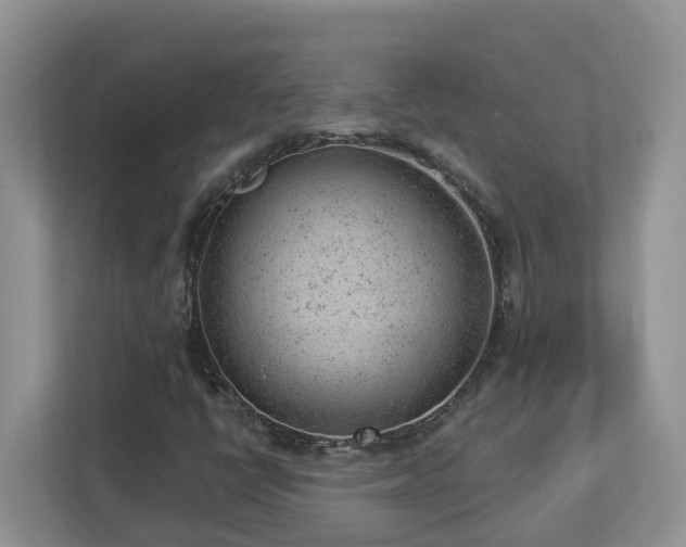 X0000112921398200908241217