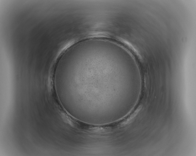 X0000112921405200908241217