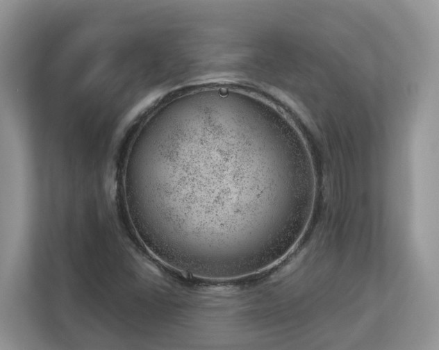 X0000112921406200908241217