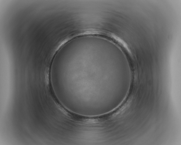 X0000112921409200908241217