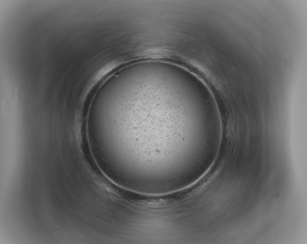 X0000112921410200908241217