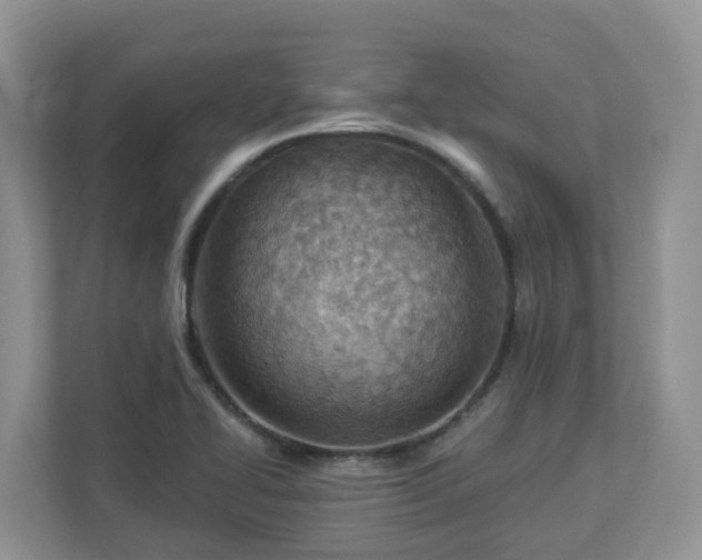 X0000112921414200908241217