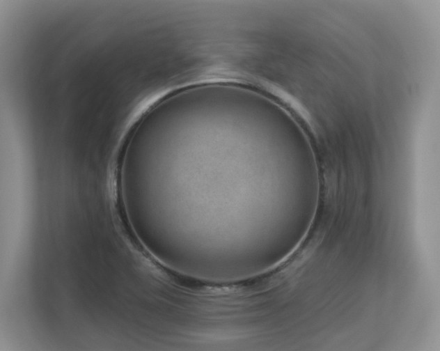 X0000112921415200908241217