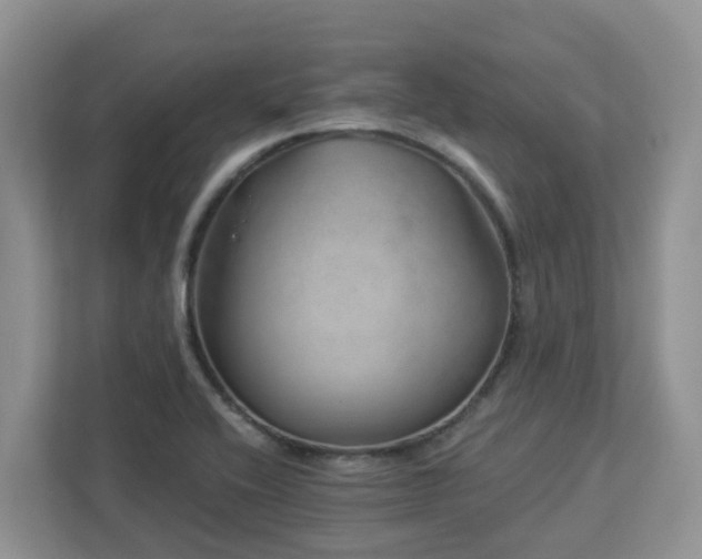 X0000112921416200908241217