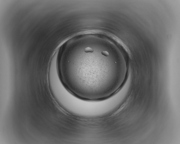 X0000112921417200908241217