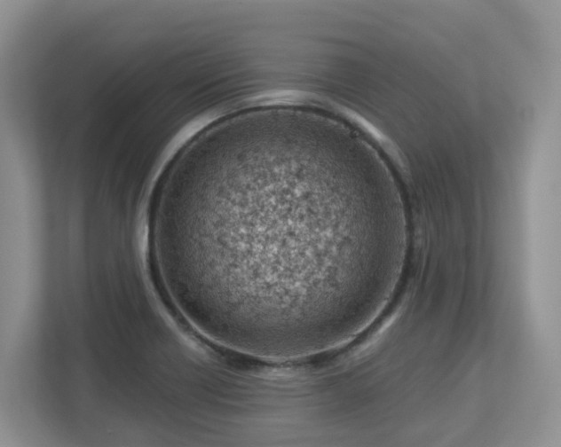 X0000112921418200908241217