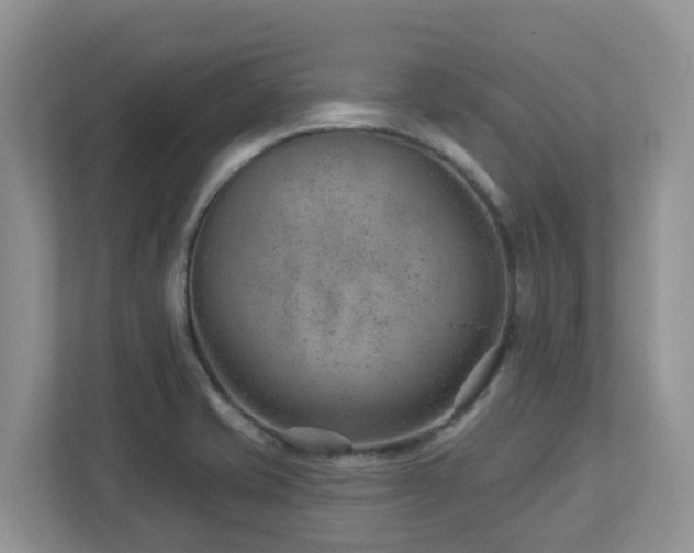 X0000112921421200908241217