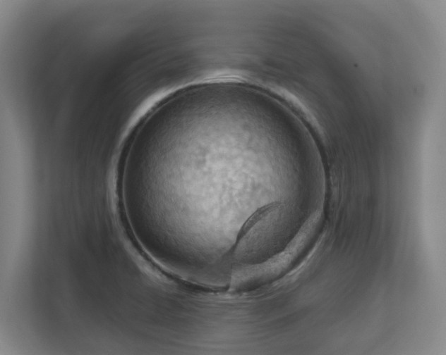 X0000112921422200908241217