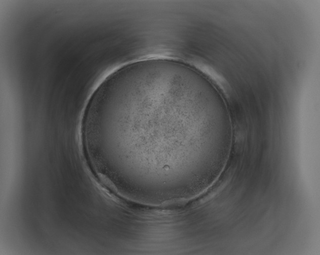 X0000112921423200908241217