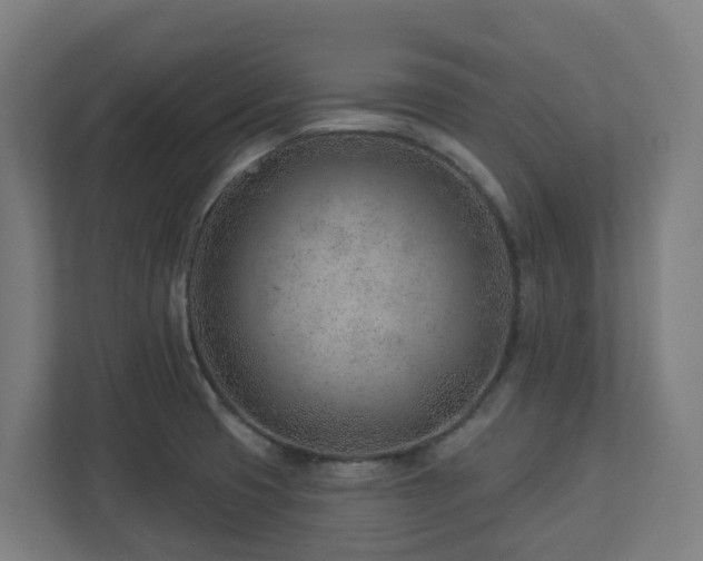 X0000112921425200908241217