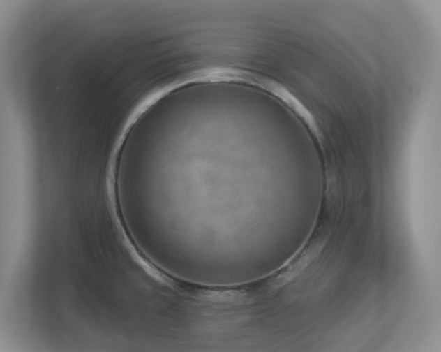 X0000112921429200908241217