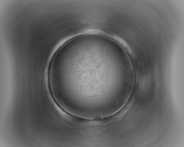 X0000112921430200908241217