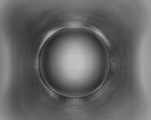 X0000112921432200908241217
