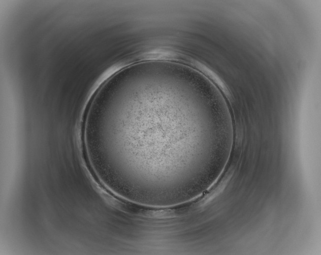 X0000112921434200908241217