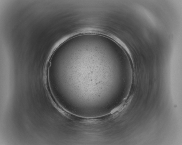 X0000112921437200908241217