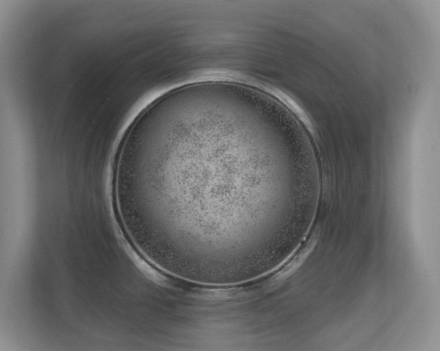 X0000112921438200908241217