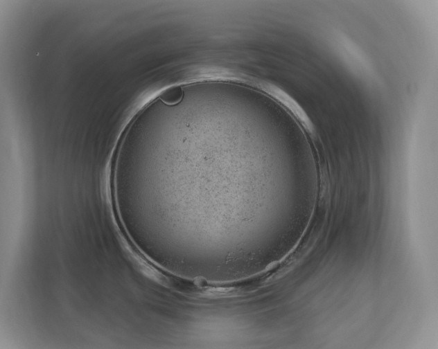X0000112921439200908241217