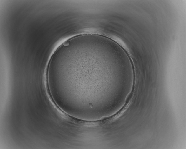 X0000112921440200908241217
