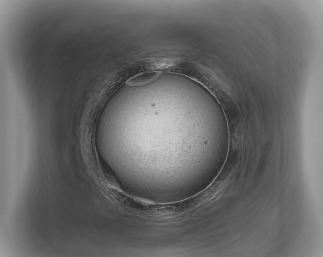 X0000112921441200908241217