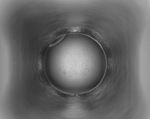 X0000112921442200908241217