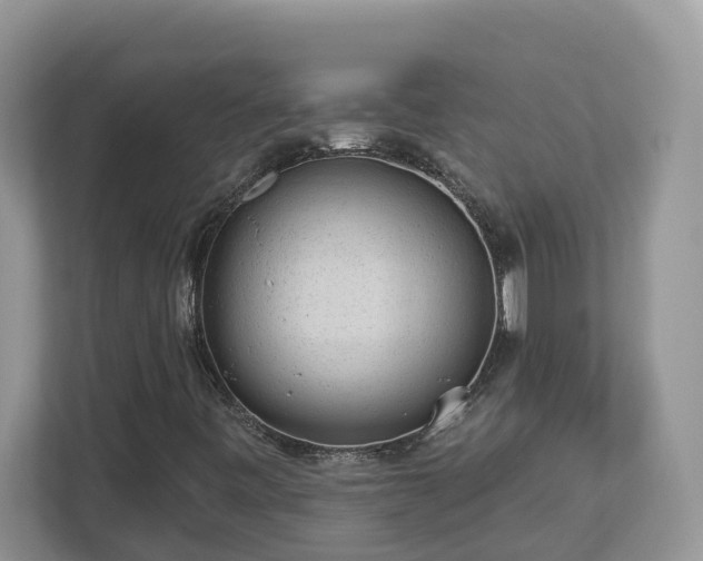 X0000112921443200908241216