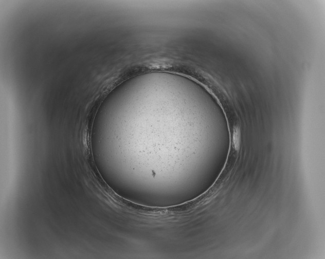 X0000112921444200908241216