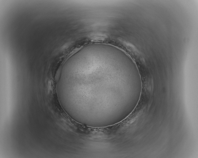 X0000112921445200908241216