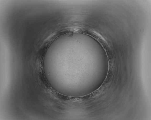 X0000112921446200908241216