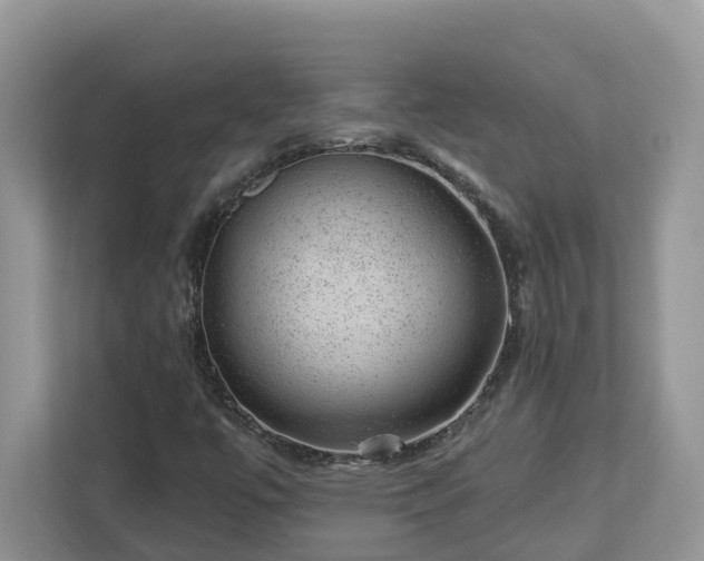 X0000112921447200908241216