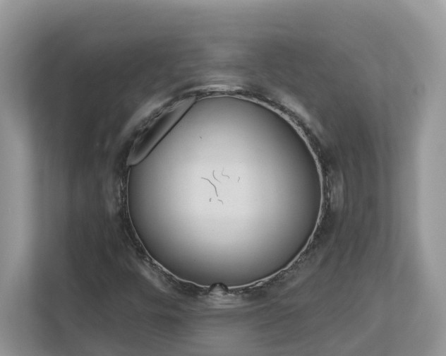 X0000112921448200908241216