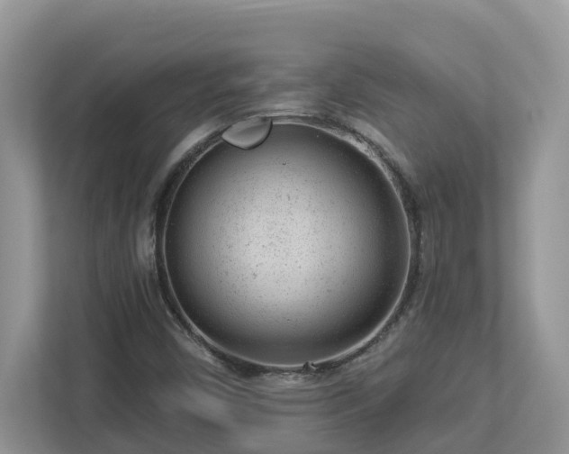 X0000112921450200908241216