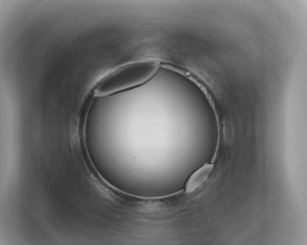 X0000112921452200908241216