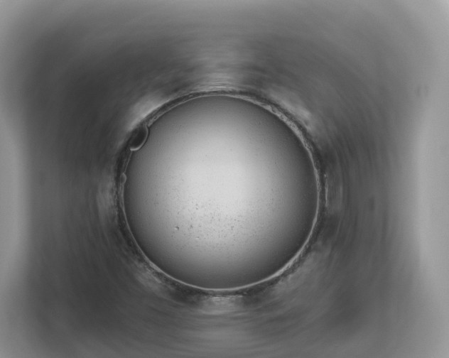 X0000112921453200908241216