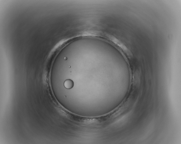 X0000112921454200908241216