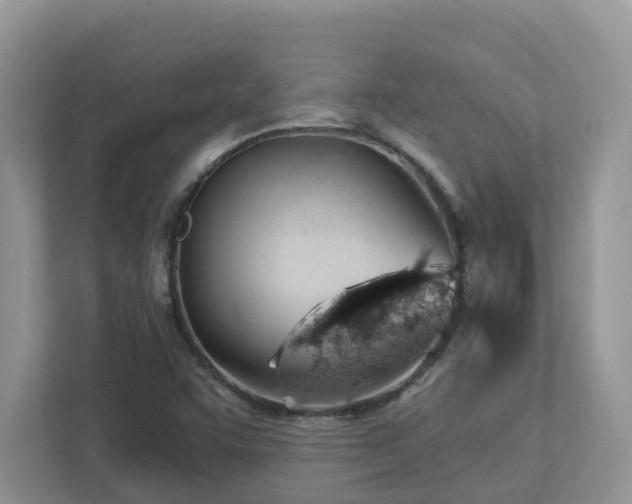 X0000112921455200908241216