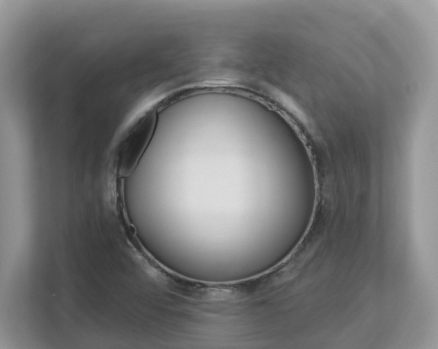 X0000112921456200908241216