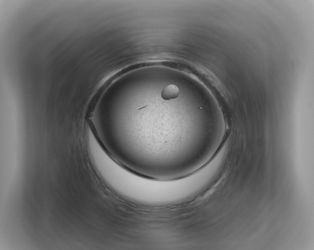 X0000112921457200908241216