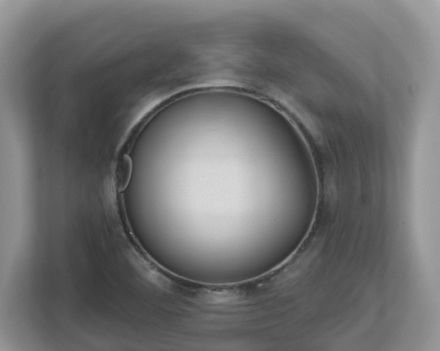 X0000112921460200908241216