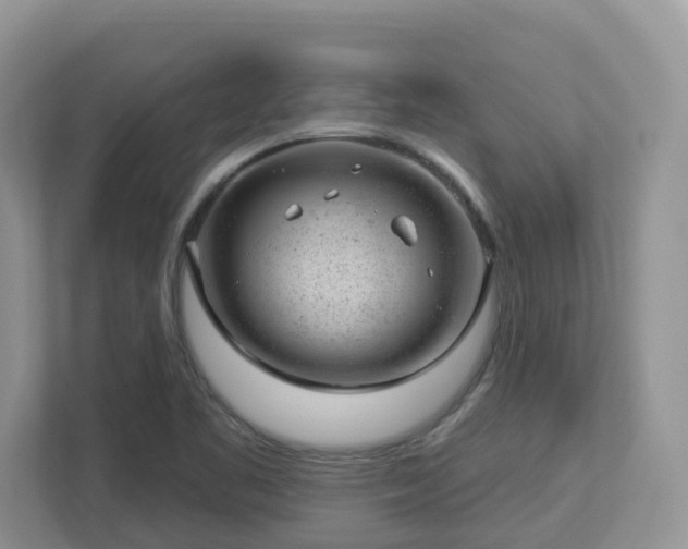 X0000112921461200908241216